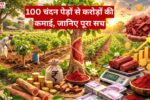 100 पेड़ों की चंदन की खेती से करोड़ों कमाई का सुनहरा मौका