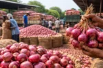 आज का प्याज का भाव बढ़ने वाला, किसानों के लिए बड़ा मौका या खतरा